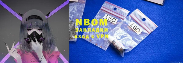соль ск Абаза