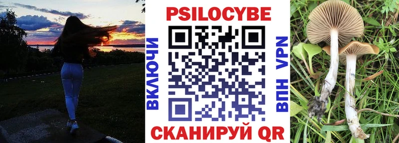 Псилоцибиновые грибы Cubensis  OMG как зайти  Южноуральск  как найти  